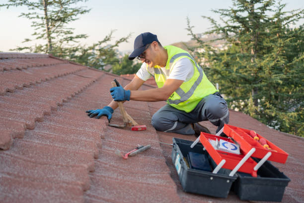 Professional Roofing Contractor in Carencro, LA